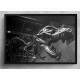 Quadro Decorativo Esqueleto Dinossauro T Rex