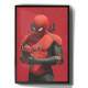 Quadro Decorativo Homem Aranha No Way Home 12
