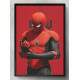 Quadro Decorativo Homem Aranha No Way Home 12