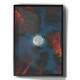 Quadro Decorativo Lua Vista Entre �rvores