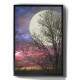 Quadro Decorativo Silhueta da �rvore em frente a Lua