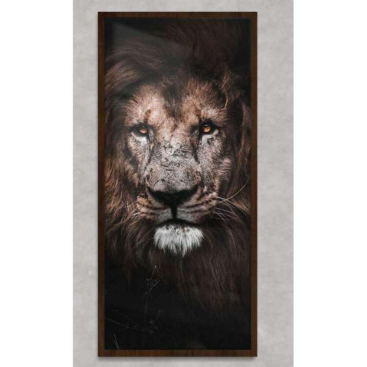 Quadro Decorativo Slim Face do Leo