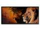 Quadro Decorativo Slim Religioso Le�o e Jesus