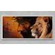 Quadro Decorativo Slim Religioso Le�o e Jesus