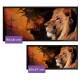 Quadro Decorativo Slim Religioso Le�o e Jesus