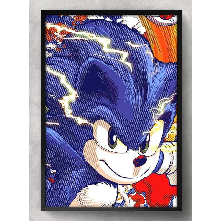 Quadro Decorativo Sonic