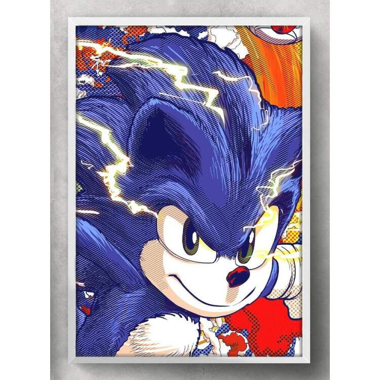 Quadro Decorativo Sonic