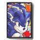 Quadro Decorativo Sonic