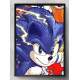 Quadro Decorativo Sonic
