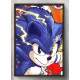Quadro Decorativo Sonic
