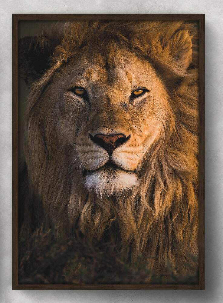 Quadro Decorativo Face do Le�o 02