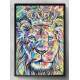Quadro Decorativo Le�o de Jud� com Coroa Colorido