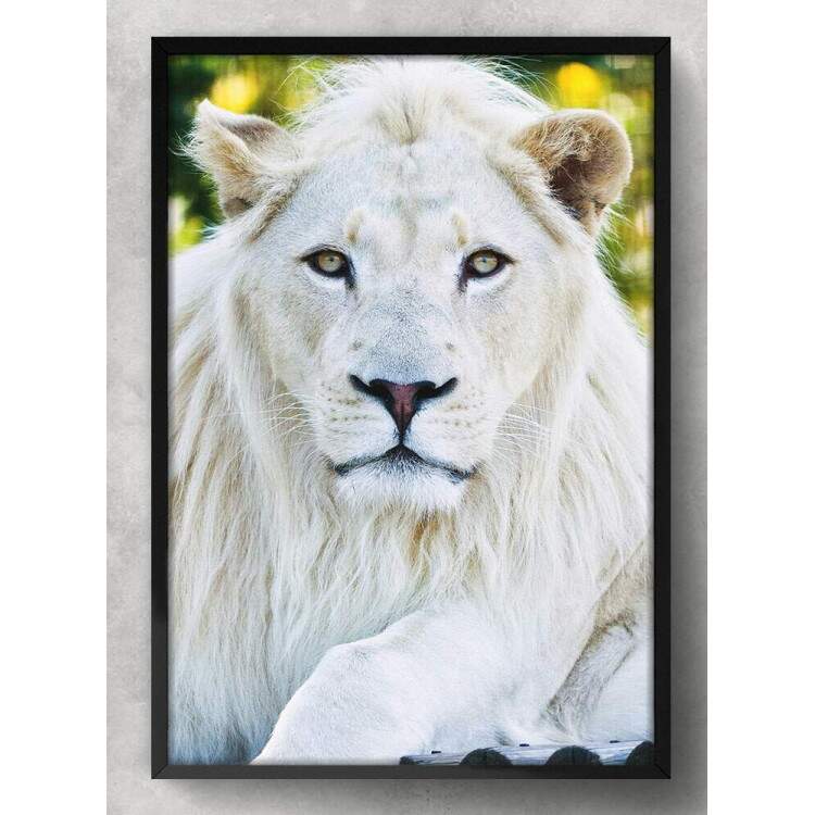 Quadro Decorativo Leo Branco