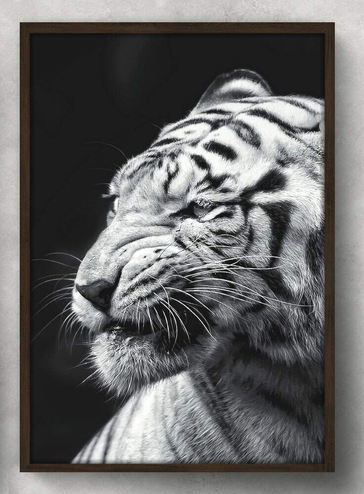 Quadro Decorativo Tigre Branco de Perfil