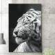 Quadro Decorativo Tigre Branco de Perfil
