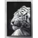 Quadro Decorativo Tigre Branco de Perfil