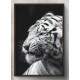 Quadro Decorativo Tigre Branco de Perfil