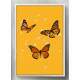 Quadro Decorativo Borboletas Laranja no Fundo Amarelo