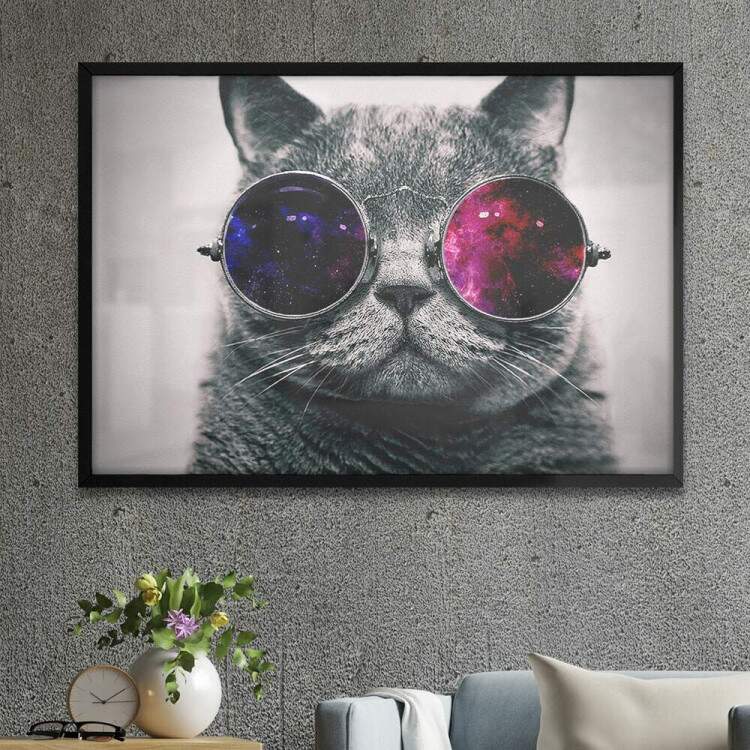 Quadro Decorativo Gato Cinza com culos de Galaxia