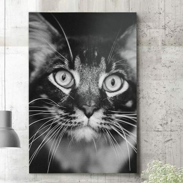 Quadro Decorativo Gato Preto e Branco