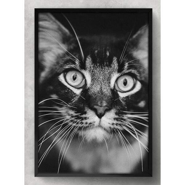 Quadro Decorativo Gato Preto e Branco