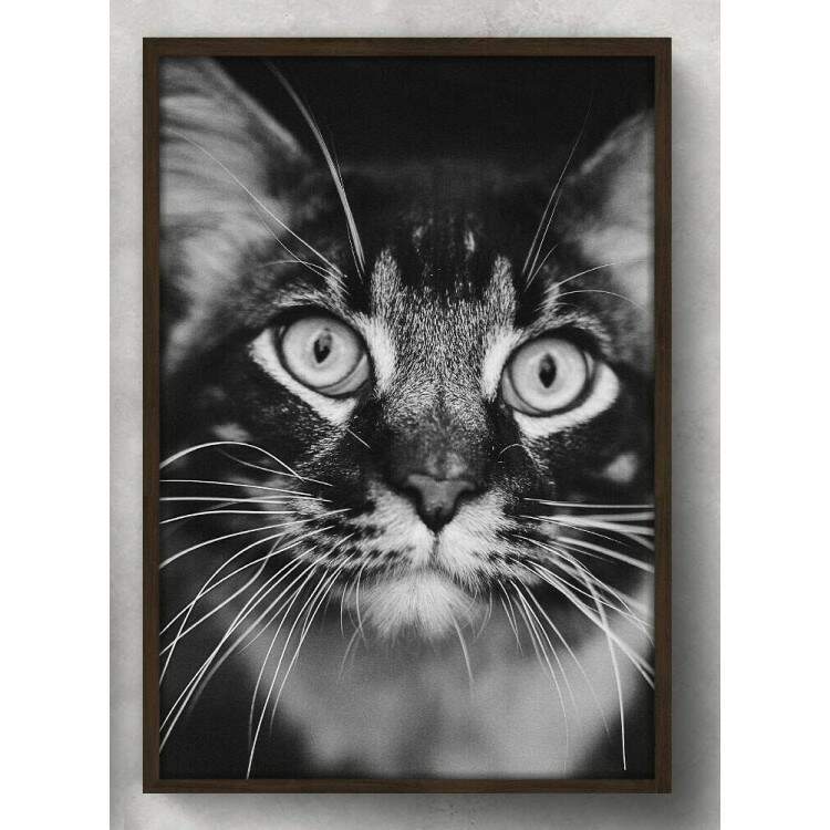 Quadro Decorativo Gato Preto e Branco