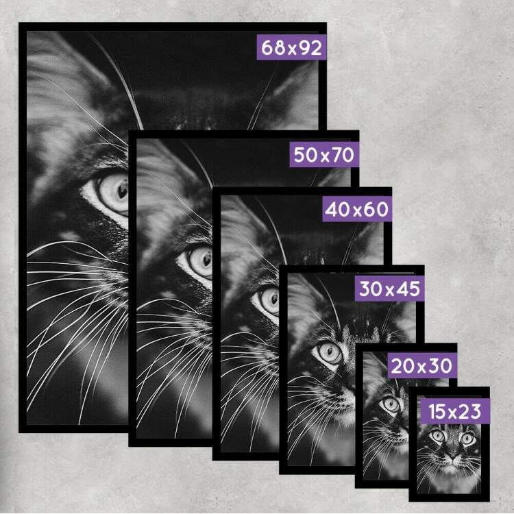 Quadro Decorativo Gato Preto e Branco