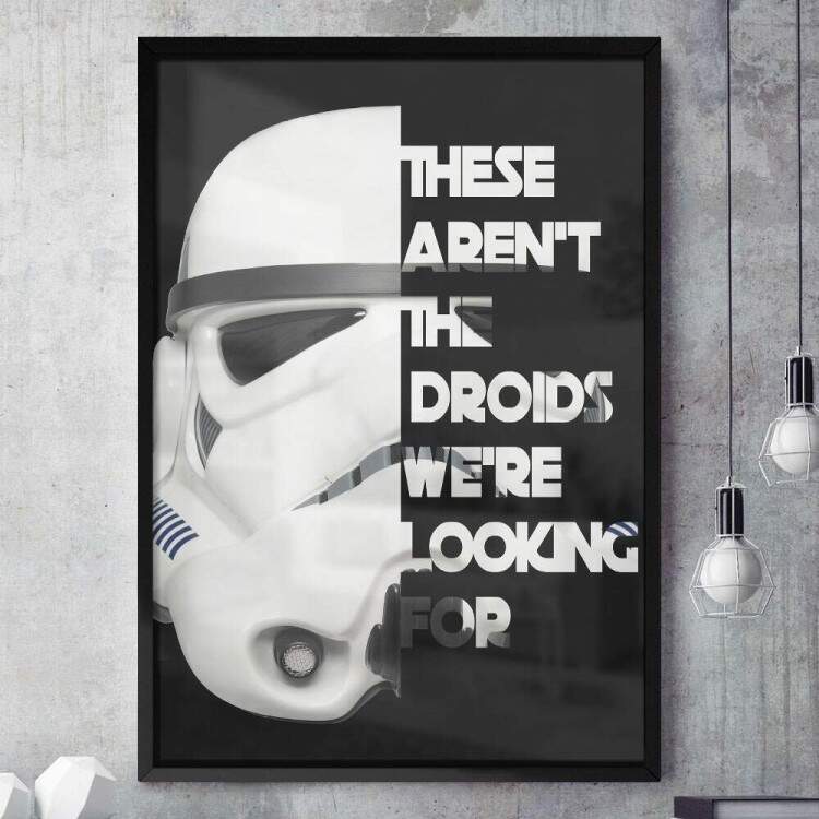 Quadro Decorativo Frase Stormtrooper