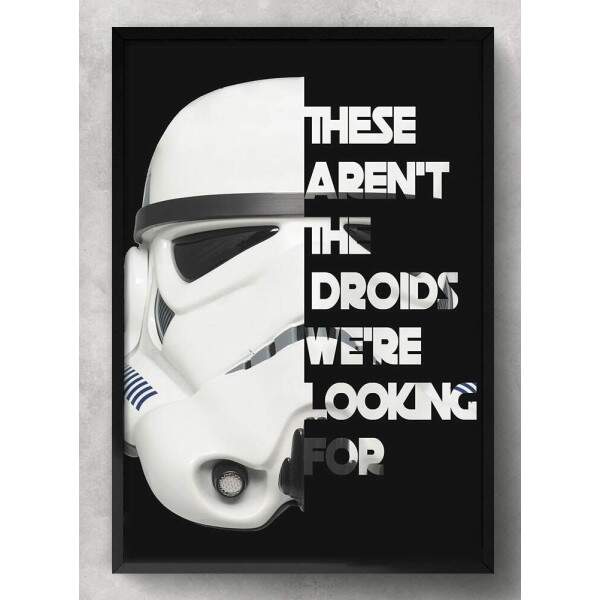 Quadro Decorativo Frase Stormtrooper