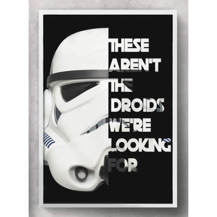 Quadro Decorativo Frase Stormtrooper