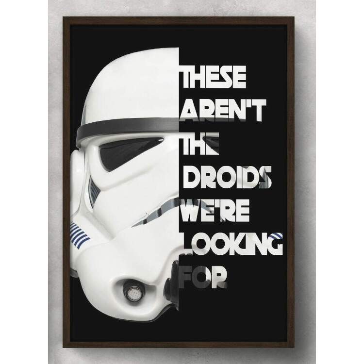 Quadro Decorativo Frase Stormtrooper