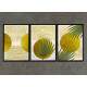 Kit 3 Quadros Decorativos Geom�trico Arte Moderna 07