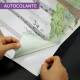 Papel de Parede Infantil Floresta Encantada MP