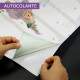 Papel de Parede Mapa-m�ndi com �rvores e Animais MP