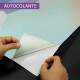 Papel de Parede Unic�rnio no Arco-�ris MP