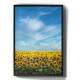 Quadro Decorativo Planta��o de Girassol e C�u Azul
