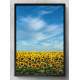 Quadro Decorativo Planta��o de Girassol e C�u Azul