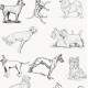 Papel de Parede Animal Print Desenho de Cachorros