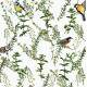 Papel de Parede Animal Print P�ssaros nos Galhos 02