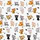 Papel de Parede Animal Print Gatinhos Coloridos
