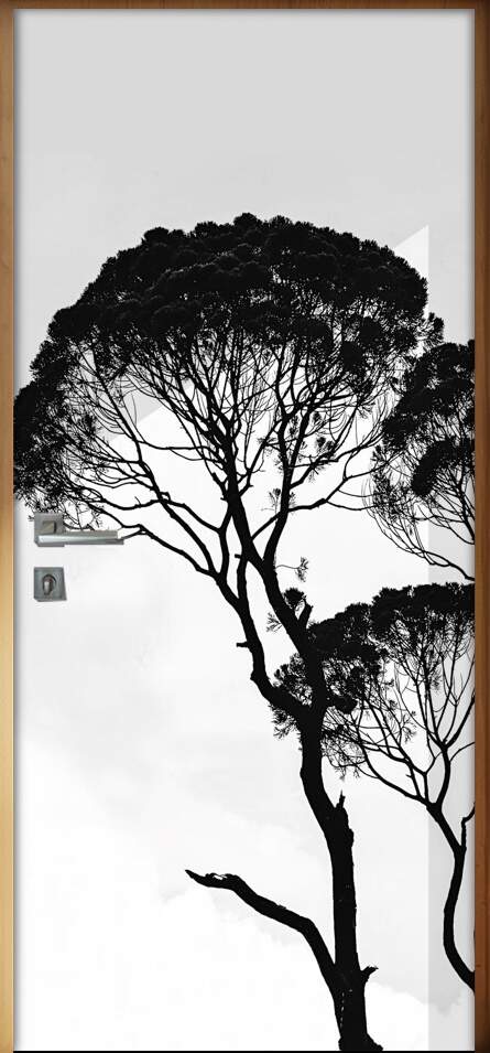 Adesivo Para Porta Jateado Impresso Arvore Silhueta