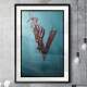 Quadro Decorativo S�mbolo Vikings