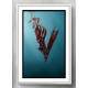 Quadro Decorativo S�mbolo Vikings
