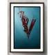 Quadro Decorativo S�mbolo Vikings