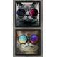2 Quadros Decorativo Quadrado Gatos de �culos