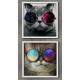 2 Quadros Decorativo Quadrado Gatos de �culos