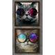 2 Quadros Decorativo Quadrado Gatos de �culos