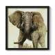 Quadro Decorativo Quadrado Envelhecido Elefante