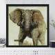 Quadro Decorativo Quadrado Envelhecido Elefante