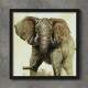 Quadro Decorativo Quadrado Envelhecido Elefante